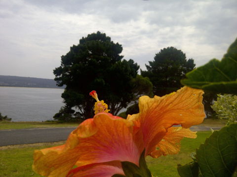 Eden Oceanview - Tourism Canberra 1