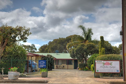 Ficifolia Lodge Kangaroo Island - Tourism Canberra 1