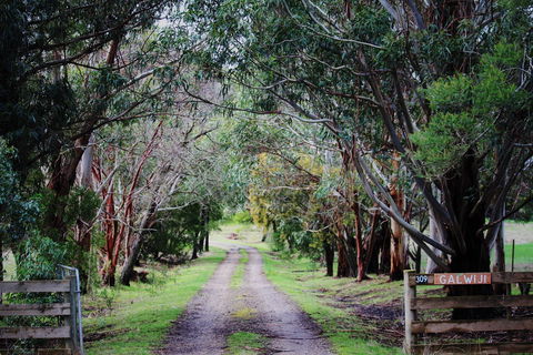 Galwiji Homestead - Tourism Canberra 1