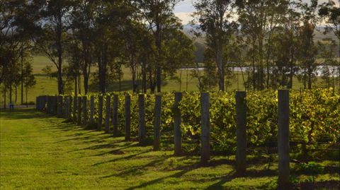 H Boutique Hotel - Tourism Canberra 0