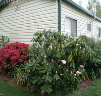 Jenolan Caravan Park - Tourism Canberra