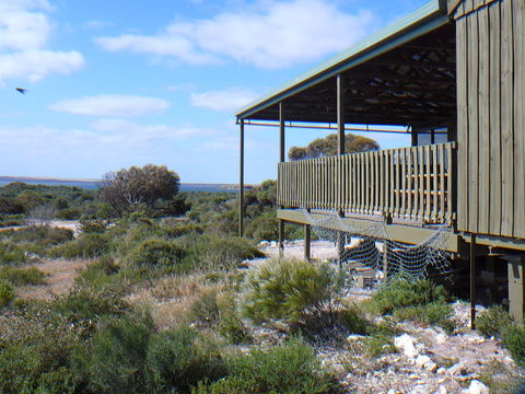 Melaleuca - Eco And Pet Friendly,  Harbor Point Cabins - Tourism Canberra 1