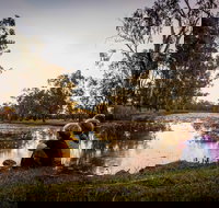 Swagsman Motor Inn - Tourism Canberra