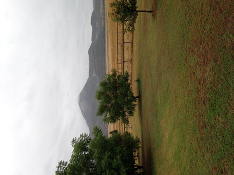The Old Dairy At Baerami - Tourism Canberra 2