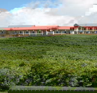 Turners Vineyard Motel - Tourism Canberra
