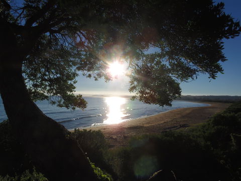 Apex Beachside Holiday Park - Tourism Canberra 1