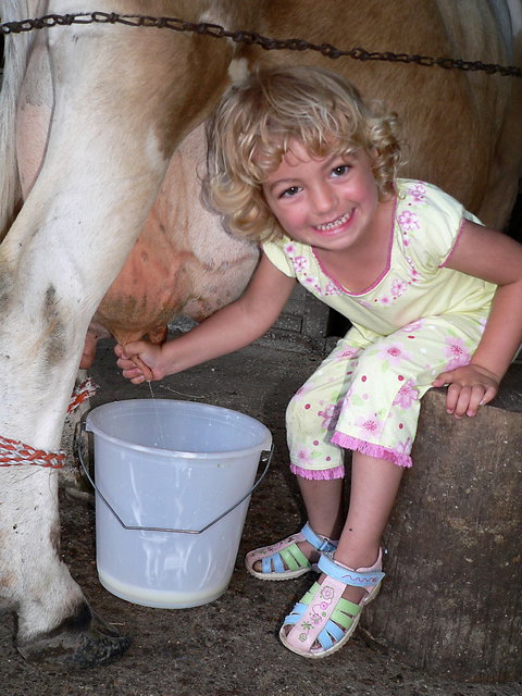 Ashmar Farmstay - Tourism Canberra 1