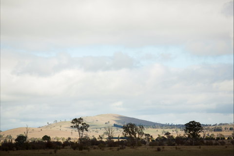 Aurelias Farm Bed And Breakfast - Tourism Canberra 1
