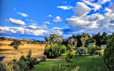 Dairy Park Farm Stay Bed And Breakfast - Tourism Canberra 1