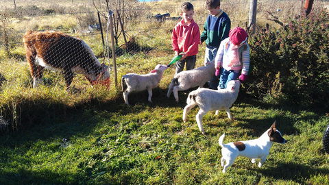 Dairy Park Farm Stay Bed And Breakfast - Tourism Canberra 2