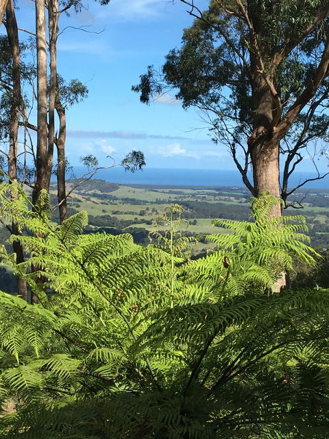 Escarpment - Tourism Canberra 0