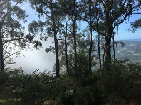 Escarpment - Tourism Canberra 2