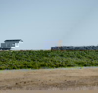 Hounds Run Vineyard - Tourism Canberra