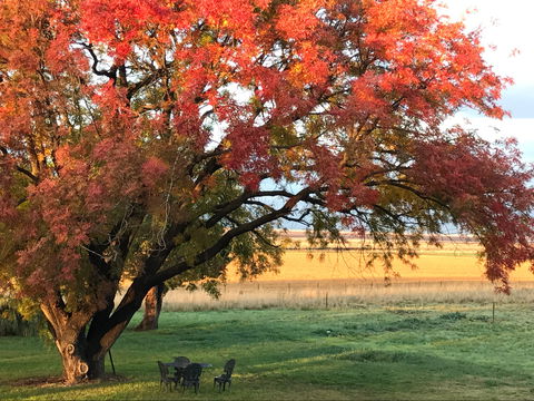 Little Kickabell Country Homestead - Tourism Canberra 0