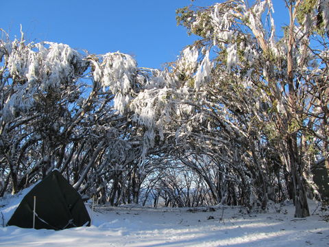 Mt Stirling Alpine Winter Camp - Tourism Canberra 2