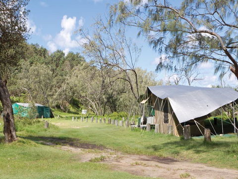 Pebbly Beach Campground - Yuraygir National Park - Tourism Canberra 0