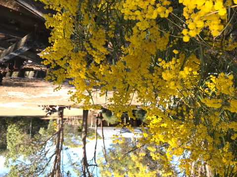 Possum's Hollow And Hooter's Hut - Tourism Canberra 1