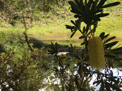 Possum's Hollow And Hooter's Hut - Tourism Canberra 2
