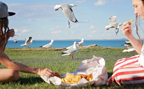Seafarers Robe - Tourism Canberra 0