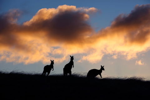 Sky House LifeTime Private Retreats - Tourism Canberra 1