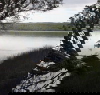 The Cove - Tourism Canberra