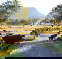 Tommerups Dairy Farmstay - Tourism Canberra
