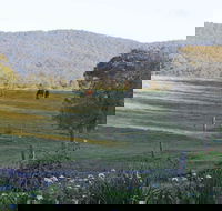 Wallaby Cottage - Tourism Canberra