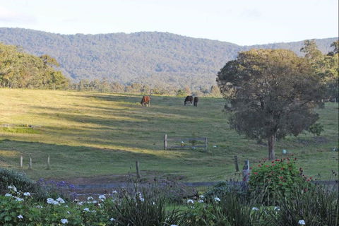 Wallaby Cottage - Tourism Canberra 0