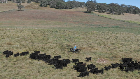 Waterloo Station - Tourism Canberra 2