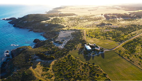 Yondah Beach House - Tourism Canberra 1