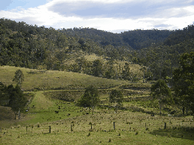 Yasuragi Cabins - Tourism Canberra