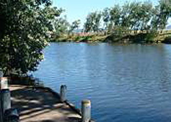 Mitchell Gardens Holiday Park - Tourism Canberra 2