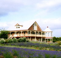 Serendipity Lavender Farm - Tourism Canberra