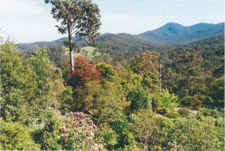 Helgrah Cottage - Tourism Canberra 5