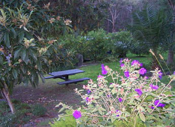 Sunway Farm B And B And Tours - Tourism Canberra 2