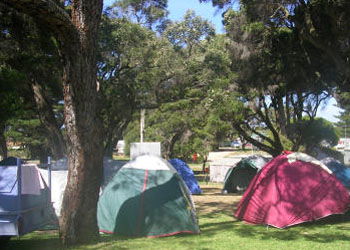 QueenscliffeTourist Park - Tourism Canberra 2