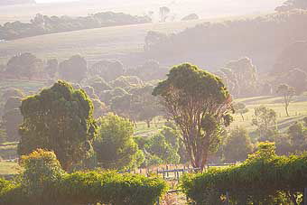 Mackas Farm - Tourism Canberra 0