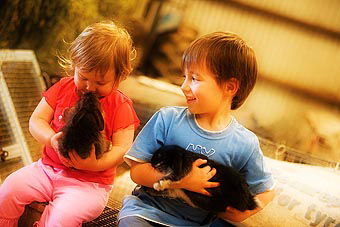 Mackas Farm - Tourism Canberra 1