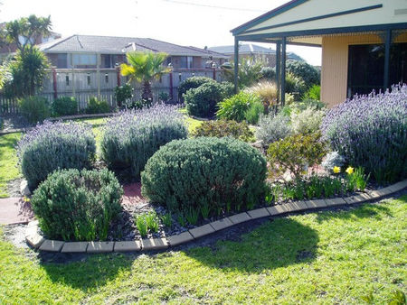 Bells By The Beach Holiday House - Tourism Canberra 4