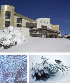 Chalet Hotham - Tourism Canberra 0