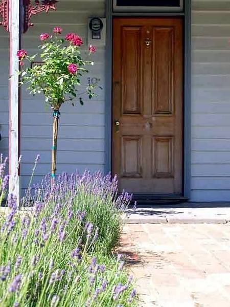 Airleigh - Rose Cottage - Tourism Canberra 2