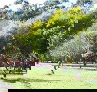 Otways Tourist Park - Tourism Canberra