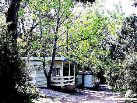 Flinders Caravan Park - Tourism Canberra 0