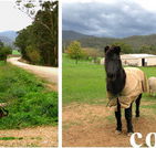 Emerald Park Holiday Farm - Tourism Canberra