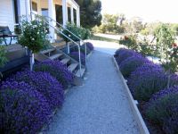 Canadian Lodge - Tourism Canberra 3