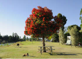 Stratford On The River Tourist Park - Tourism Canberra 2