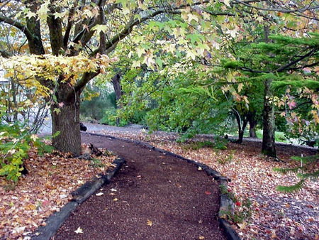 Brigadoon Cottages - Tourism Canberra 3