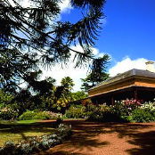 Elliminook - Tourism Canberra 0