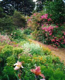 Maryborough Guest House - Tourism Canberra 5