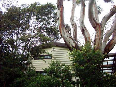 Beach Park Tourist Caravan Park - Tourism Canberra 3